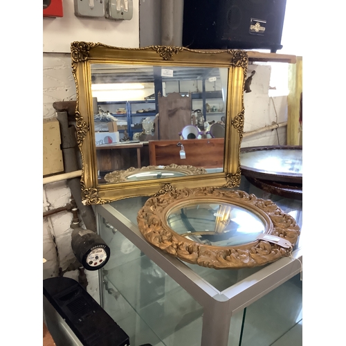 Lot 493       