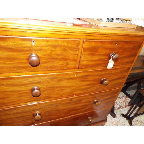 Lot 581       