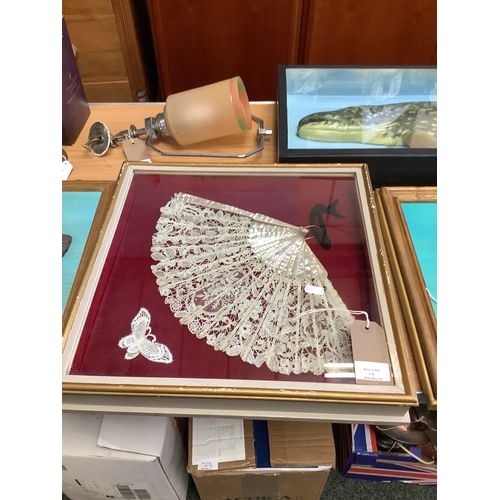 578 - Two mother of pearl and silk fans set in display case