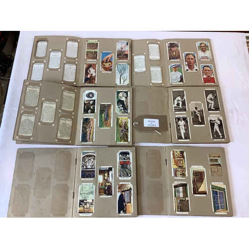 Lot 57        
