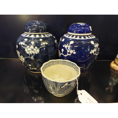 56 - Two Chinese prunus ginger jars and a small blue and white bowl