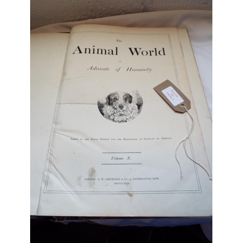 165 - Volume X The Animal World 1879-80