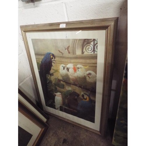 357 - A framed print of Parrots 'A Select Committee'