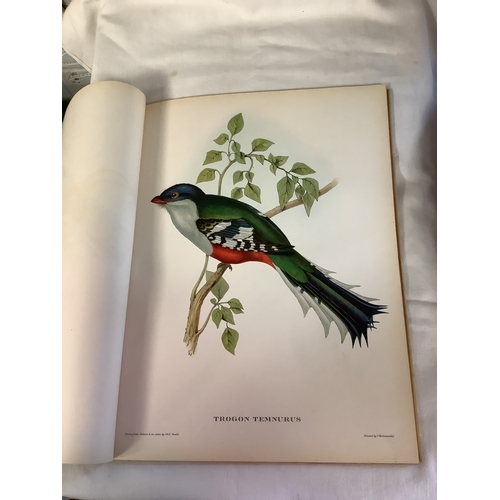 81 - A volume 'Mr Goulds' Tropical Birds