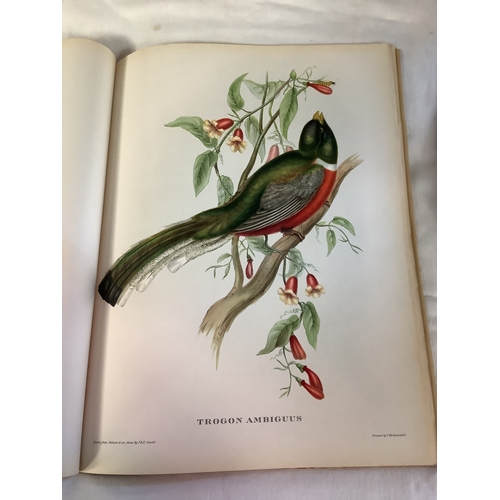 81 - A volume 'Mr Goulds' Tropical Birds