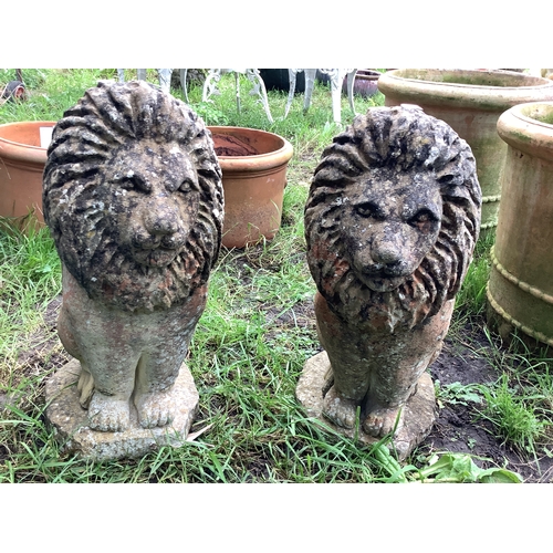 377 - A pair or vintage concrete lions