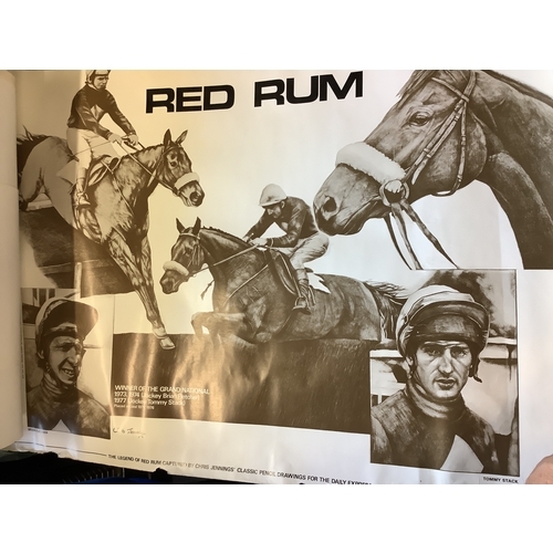 66 - A mixed selection of assorted pictures and poster depicting Red Rum