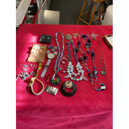 262 - A mixed selection of assorted costume jewellery to include earrings, necklaces, hat pins etc