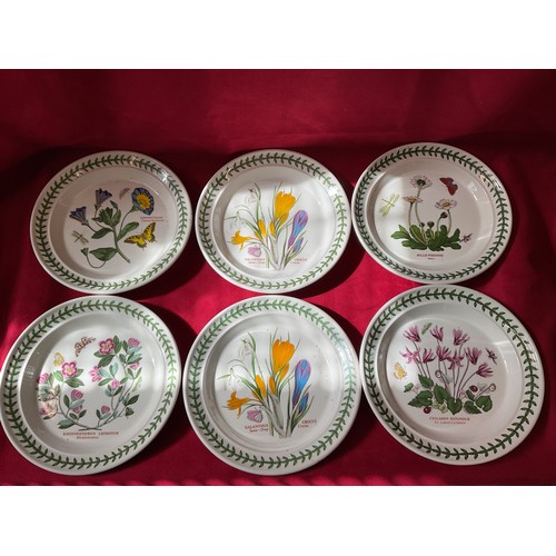 62 - A set of six Portmeirion 'Botanical Garden' dinner plates, six tea plates and six bowls