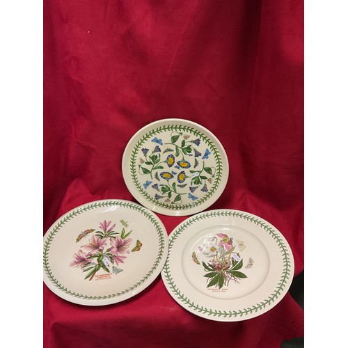 72 - Three large Portmeirion 'Botanical Garden' platters
