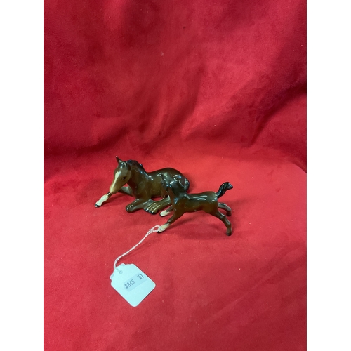 Lot 6         