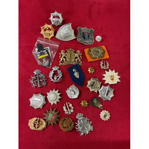 161 - A mixed selection of assorted Foreign Police badges