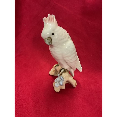 Lot 29        