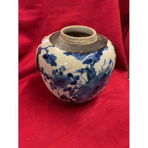 Lot 46        