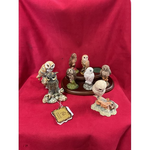 Lot 31        