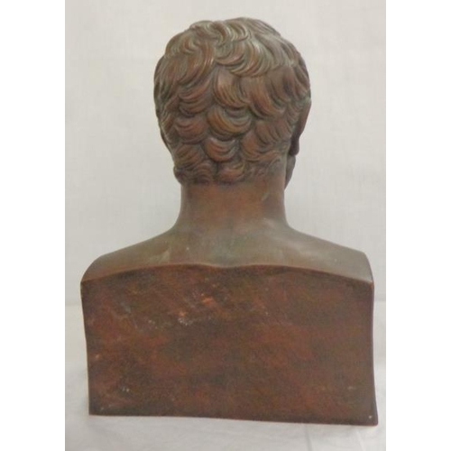 213 - C19th Bronze Bust Bearded Gentleman with curly hair, approx. 13 inches high