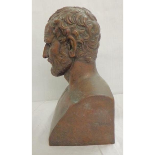 213 - C19th Bronze Bust Bearded Gentleman with curly hair, approx. 13 inches high