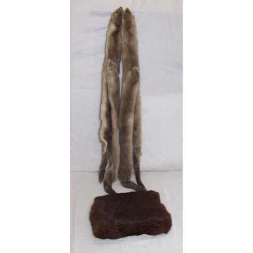 511 - Ladies Pine Marten? Fur Collar/Shawl, 4 full pelts, Dark Fur Muff & Ladies Highland Dress Dancing Co... 