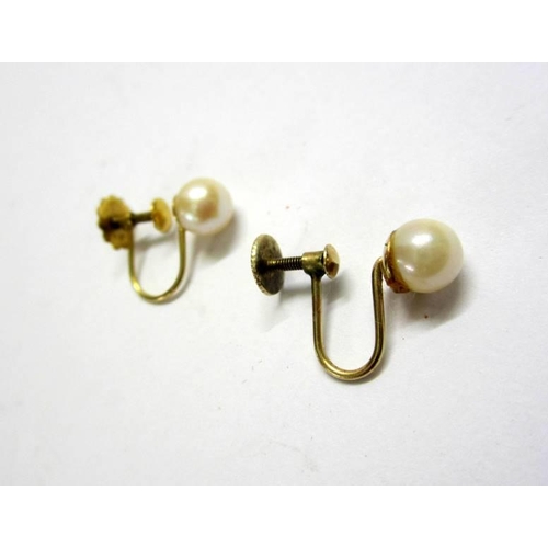 483 - Pair 9ct. Gold Screw Back Pearl Earrings