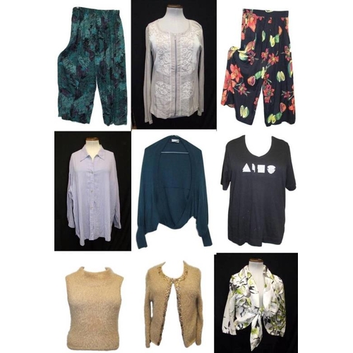 494 - Ladies Modern Separates Size 14 incl. Kalisson, Minuet, Wallis, Edel, Tigi Wear, Wallis & Nougat (9)