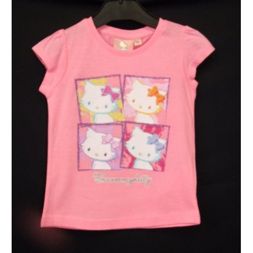 602 - As New Girls Clothing Age 3/4 Years: Isabelle Rose pink dress, pink kitten T shirt, 2 Soul & Glory T... 