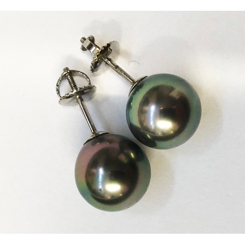 247 - Pair 950 Standard Platinum Tahitian Ball Stud Earrings, each approx. 10mm with screw backs