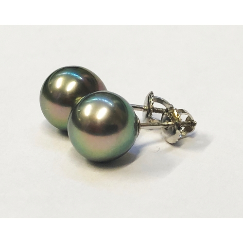 247 - Pair 950 Standard Platinum Tahitian Ball Stud Earrings, each approx. 10mm with screw backs