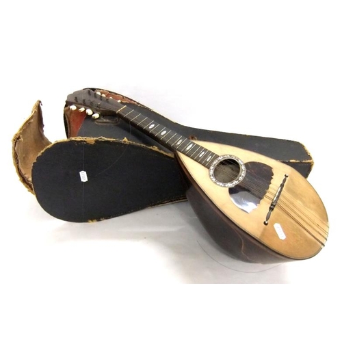 Giuseppe Vinaccia Napoli 1893 Mandolin inlaid with tortoiseshell & mother  of pearl, rosewood neck