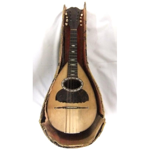 1円～【おたからや】N-3982/GIUSEPPE VINACCIA mandolin no. 466 ジュゼッペ ヴィナッチャ マンドリン - 楽器、