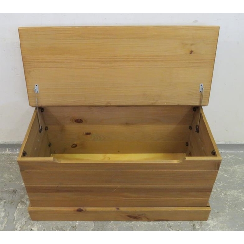 48 - Pine Trunk with hinged cover, plinth base A2