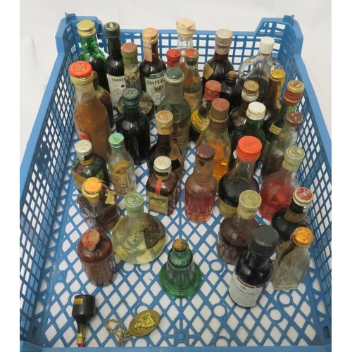 Miniature Bottles some containing alcohol, King Offa Cider Brandy, Tia ...