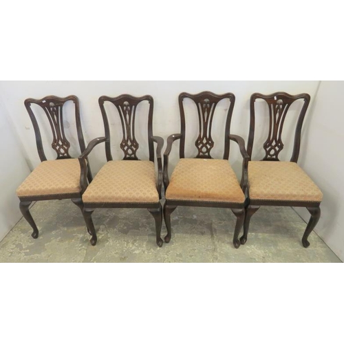 116 - Set of 6 Chippendale style stained beech Dining Chairs (4 side & 2 carvers), cream upholstered seats... 