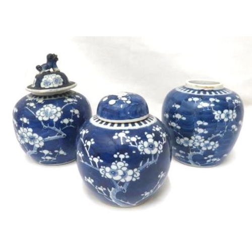 3 Blue & White Oriental Ginger Jars decorated with blossom approx. 15cm