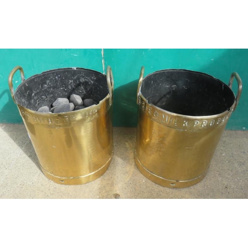 Pair of Brass Bucket, used for coal marked 