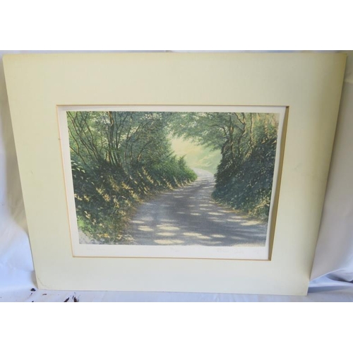 465A - Framed Unglazed Limited Edition Print No. 72 of 250 'Autumn Unearthed' by David Waller, signed, 61cm... 