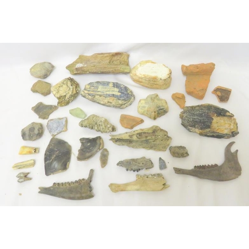1239A - Kent Fossils, stone-age tools, Roman pottery, fossils, Mammoth teeth fragments etc. (1 Box)