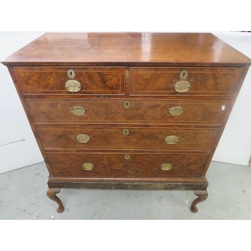 43 - Antique Georgian Walnut Chest of 2 Short over 3 Long Drawers with plate brass handles approx. 56cm D... 
