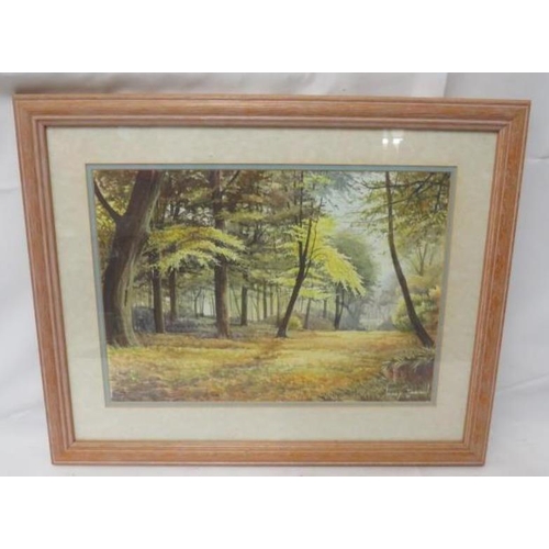 571 - M/f/g Watercolour by Hilary Johnson dated 90, woodlands entitled 'Autumn' approx. 52cm x 42cm    R4S... 