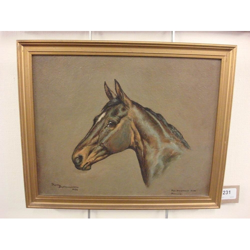 231 - * Ninetta Butterworth [b.1922] -  Bay horse head study,:- signed and dated 1956, oil on board, 24 x ... 