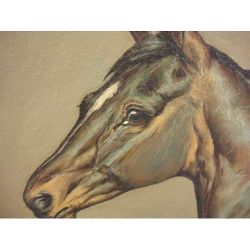 231 - * Ninetta Butterworth [b.1922] -  Bay horse head study,:- signed and dated 1956, oil on board, 24 x ... 