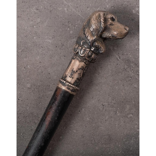 53 - A 19th century Russian silver spaniel's head mounted ebony walking cane: the dog's head inset with r... 