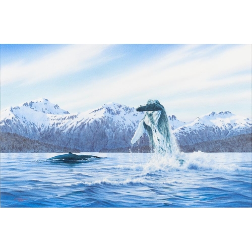 48 - * Steven Thor Johanneson [b.1948]-  Humpback Whales,:-  two, both signed and dated 1993 and 1992,  w... 