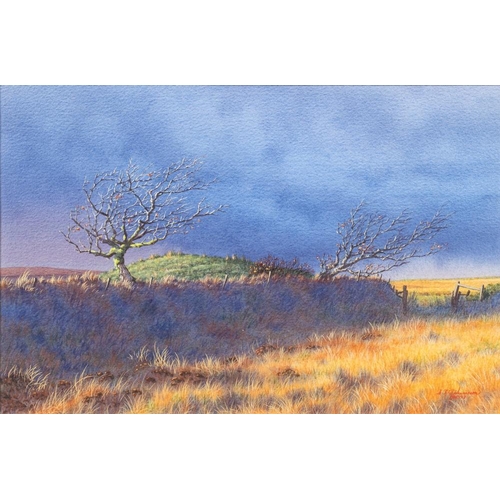 59 - * Steven Thor Johanneson [b.1948]- Evening Storm Passing Woodbarrow on the Chains, Exmoor,:- signed ... 