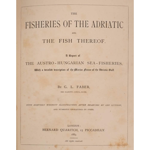 246 - BACK, Captain - Narrative of the Arctic Land Expedition to the Mouth of the Great Fish River, and al... 