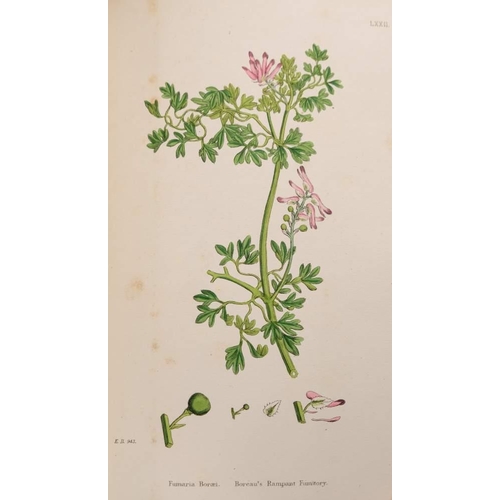 327 - SOWERBY, J. E & SYME, John T. Boswell - English Botany; or, Coloured Figures of British Plants : 12 ... 