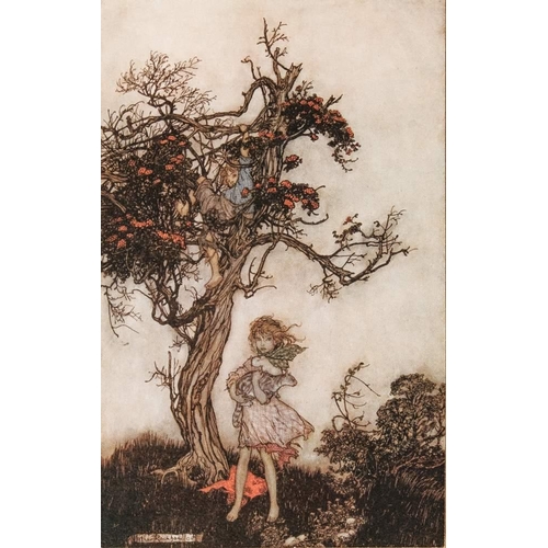 33 - RACKHAM, Arthur :  (Illustrator)  Rip Van Winkle, 50 colour plates, org. full vellum slightly soiled... 