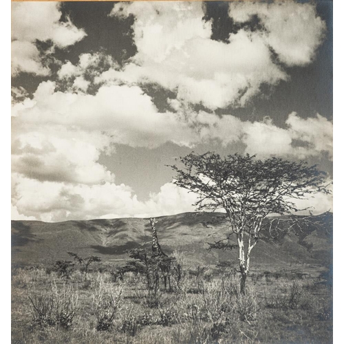 404 - STUDIO PHOTOGRAPHS : Five large size photographs of scenes in Africa, mounted on card, titled on the... 