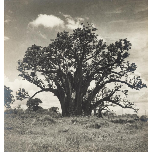 404 - STUDIO PHOTOGRAPHS : Five large size photographs of scenes in Africa, mounted on card, titled on the... 