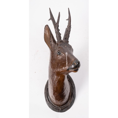 321 - A Continental carved wood and brown decorated roe deer's head: with an oval reeded plaque.