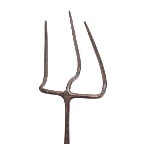 61 - A long-handled flesh fork:, the triple prongs with a turned ash handle, 115cm long.